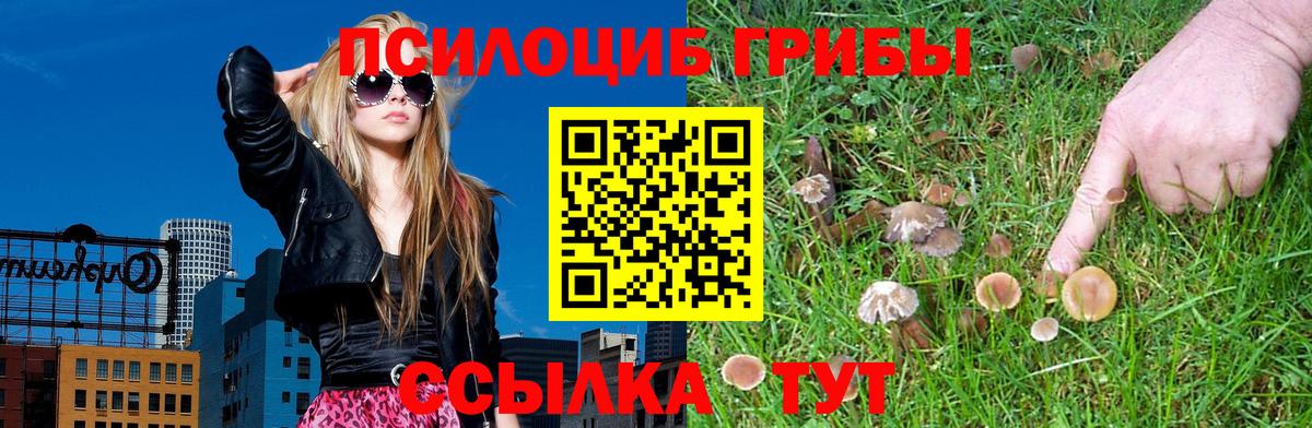 Галлюциногенные грибы Magic Shrooms  Псилоцибиновые грибы Magic Shrooms  Вход с VPN  Троицк 