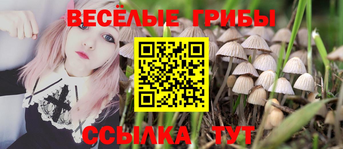 Галлюциногенные грибы Psilocybine cubensis Троицк